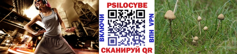 Псилоцибиновые грибы мицелий дарнет шоп ОМГ ОМГ рабочий сайт Остров